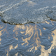 Illustration for article titled Santa Barbara Still Reeling From the Worst Oil Spill in Decades